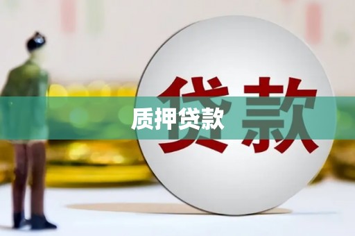 南平质押贷款