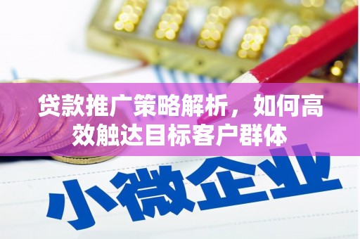 南平贷款推广策略解析，如何高效触达目标客户群体