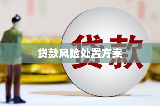 南平贷款风险处置方案