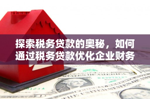 南平探索税务贷款的奥秘，如何通过税务贷款优化企业财务