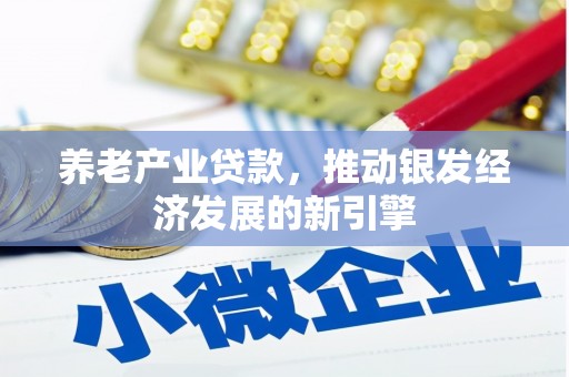 南平养老产业贷款，推动银发经济发展的新引擎