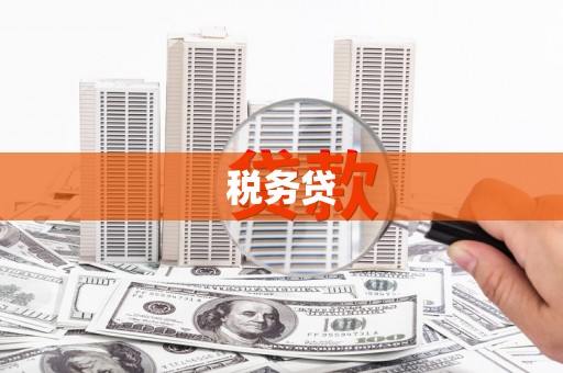 南平税务贷