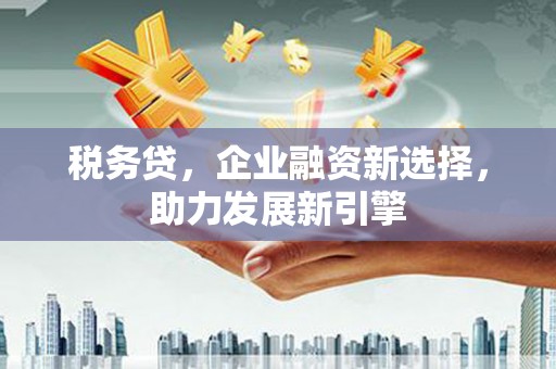 南平税务贷，企业融资新选择，助力发展新引擎