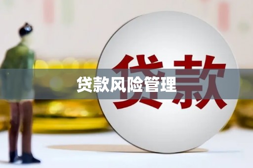 南平贷款风险管理