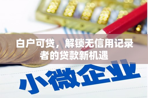 南平白户可贷，解锁无信用记录者的贷款新机遇