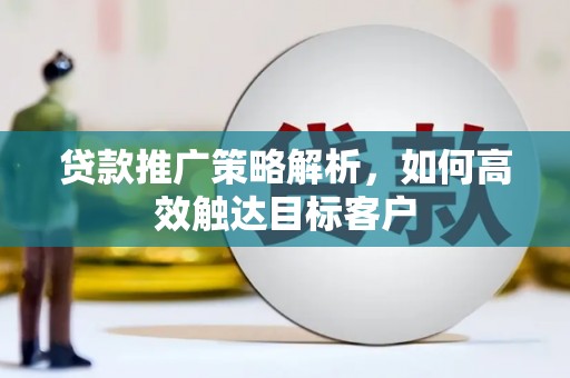 南平贷款推广策略解析，如何高效触达目标客户