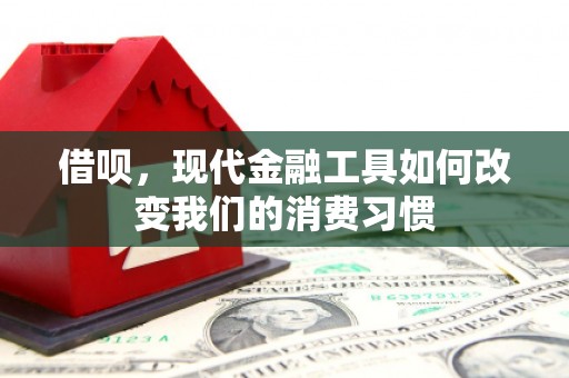 南平借呗，现代金融工具如何改变我们的消费习惯