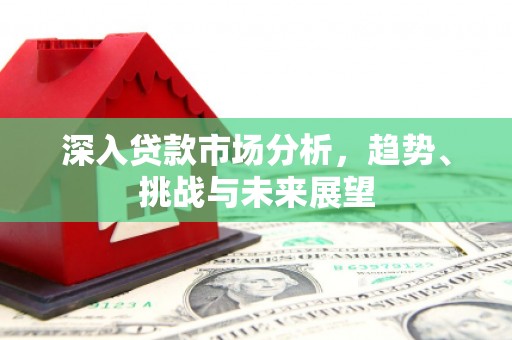 南平深入贷款市场分析，趋势、挑战与未来展望