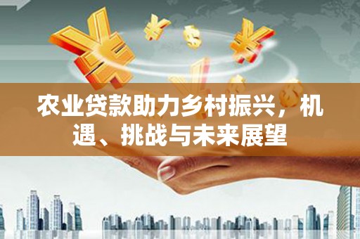 南平农业贷款助力乡村振兴，机遇、挑战与未来展望