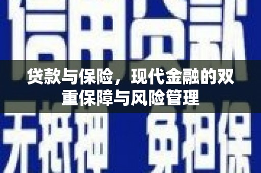南平贷款与保险，现代金融的双重保障与风险管理