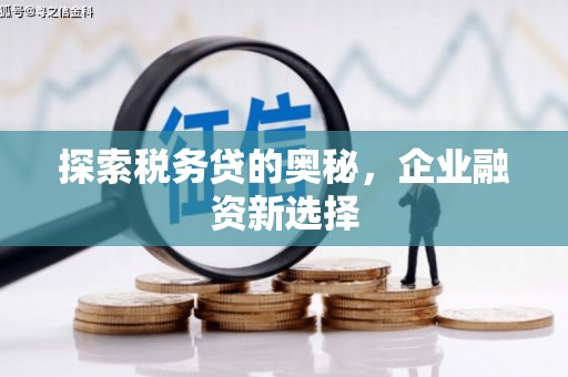 南平探索税务贷的奥秘，企业融资新选择