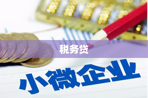 南平税务贷