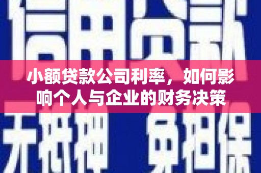 南平小额贷款公司利率，如何影响个人与企业的财务决策