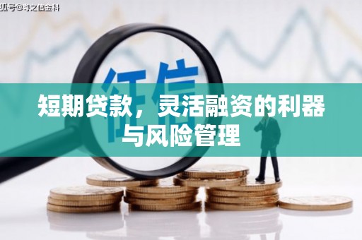 南平短期贷款，灵活融资的利器与风险管理