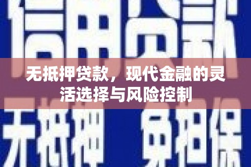 南平无抵押贷款，现代金融的灵活选择与风险控制