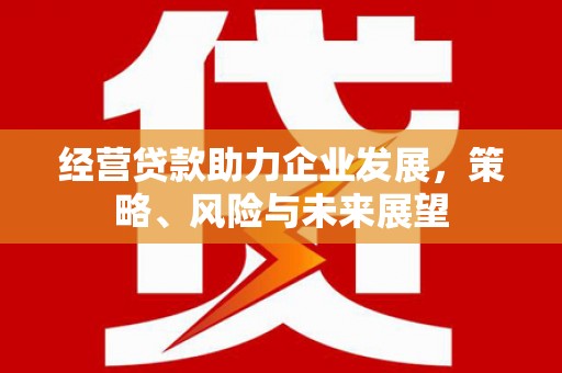 南平经营贷款助力企业发展，策略、风险与未来展望