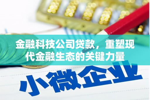 南平金融科技公司贷款，重塑现代金融生态的关键力量