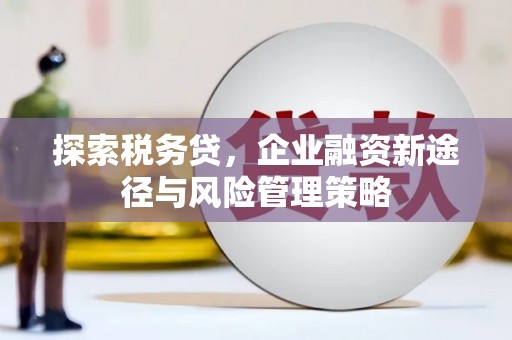 南平探索税务贷，企业融资新途径与风险管理策略