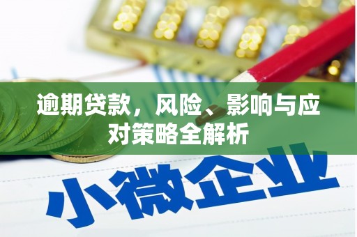 南平逾期贷款，风险、影响与应对策略全解析