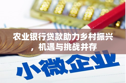 南平农业银行贷款助力乡村振兴，机遇与挑战并存