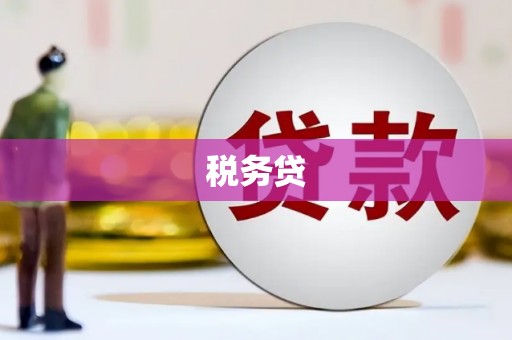 南平税务贷