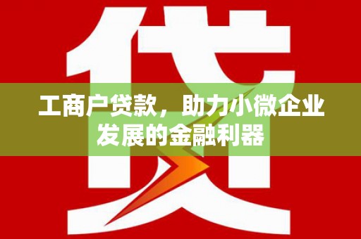 南平工商户贷款，助力小微企业发展的金融利器