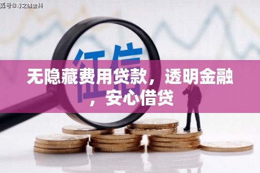 南平无隐藏费用贷款，透明金融，安心借贷