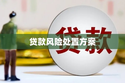 南平贷款风险处置方案
