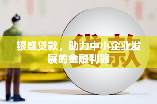 南平银盛贷款，助力中小企业发展的金融利器