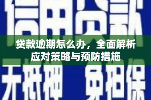南平贷款逾期怎么办，全面解析应对策略与预防措施