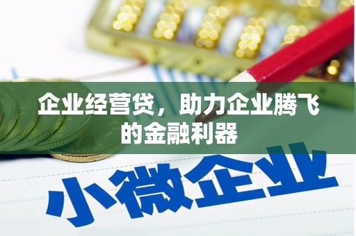 南平企业经营贷，助力企业腾飞的金融利器
