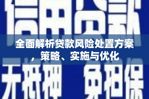 南平全面解析贷款风险处置方案，策略、实施与优化