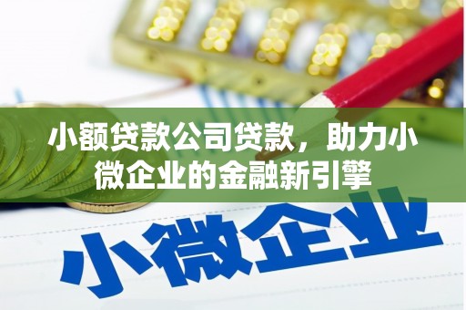 南平小额贷款公司贷款，助力小微企业的金融新引擎
