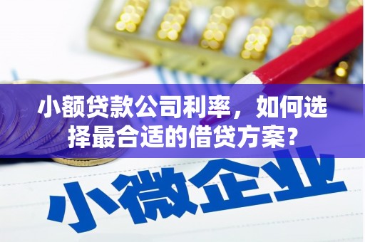 南平小额贷款公司利率，如何选择最合适的借贷方案？