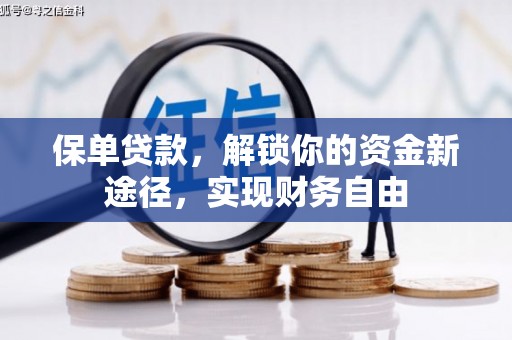 南平保单贷款，解锁你的资金新途径，实现财务自由