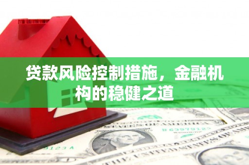 南平贷款风险控制措施，金融机构的稳健之道