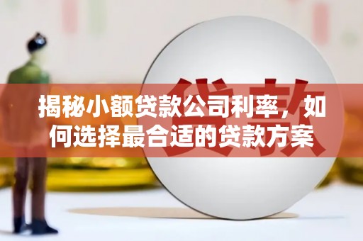 南平揭秘小额贷款公司利率，如何选择最合适的贷款方案