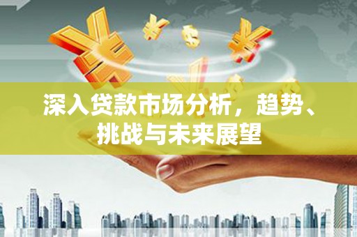 南平深入贷款市场分析，趋势、挑战与未来展望