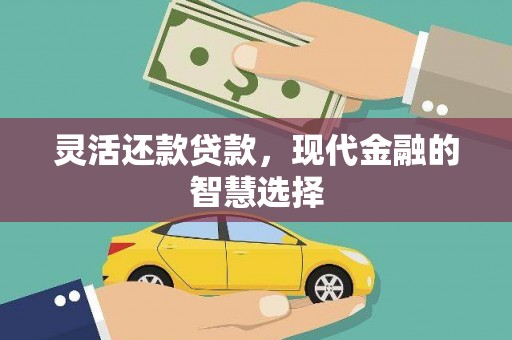 南平灵活还款贷款，现代金融的智慧选择