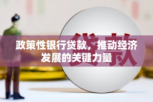 南平政策性银行贷款，推动经济发展的关键力量