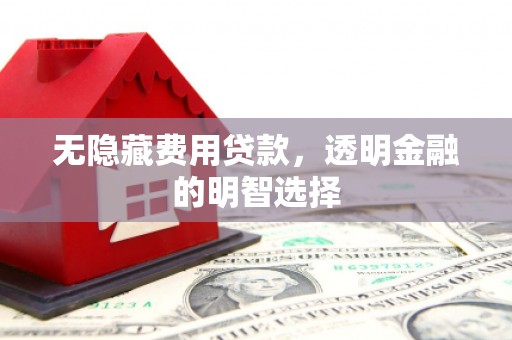 南平无隐藏费用贷款，透明金融的明智选择