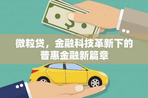 南平微粒贷，金融科技革新下的普惠金融新篇章
