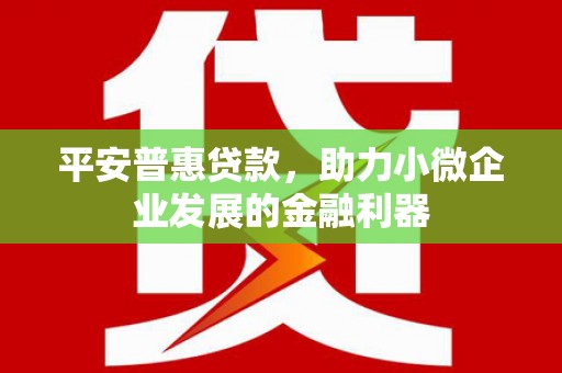 南平平安普惠贷款，助力小微企业发展的金融利器