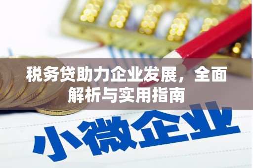 南平税务贷助力企业发展，全面解析与实用指南