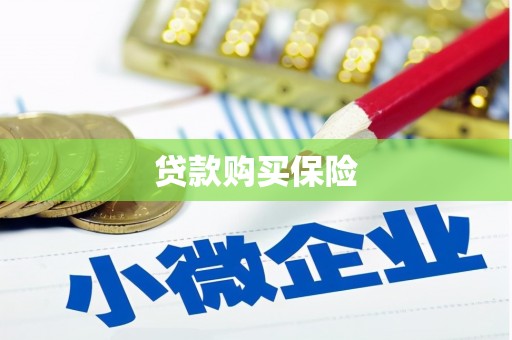 南平贷款购买保险