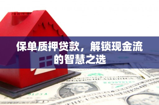 南平保单质押贷款，解锁现金流的智慧之选