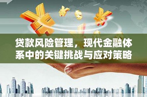 南平贷款风险管理，现代金融体系中的关键挑战与应对策略