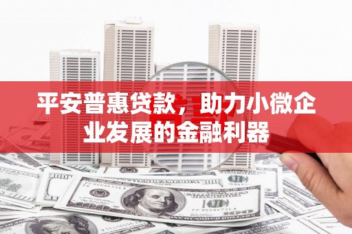 南平平安普惠贷款，助力小微企业发展的金融利器