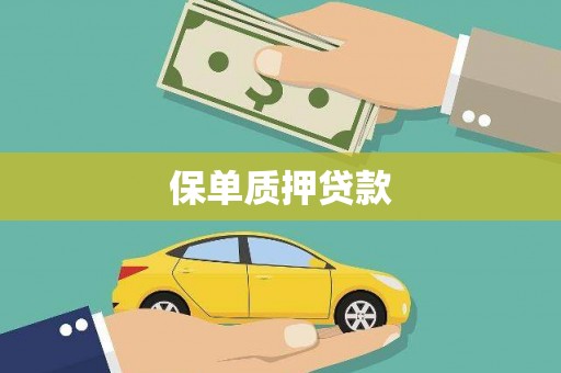 南平保单质押贷款