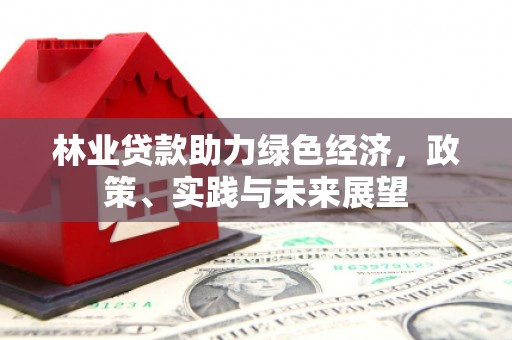 南平林业贷款助力绿色经济，政策、实践与未来展望
